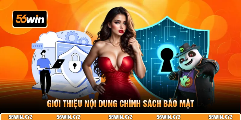 Giới thiệu nội dung chính sách bảo mật