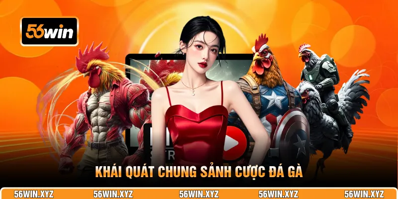 Khái quát chung sảnh cược đá gà